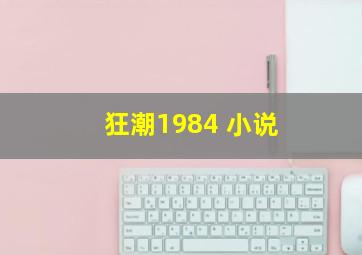 狂潮1984 小说